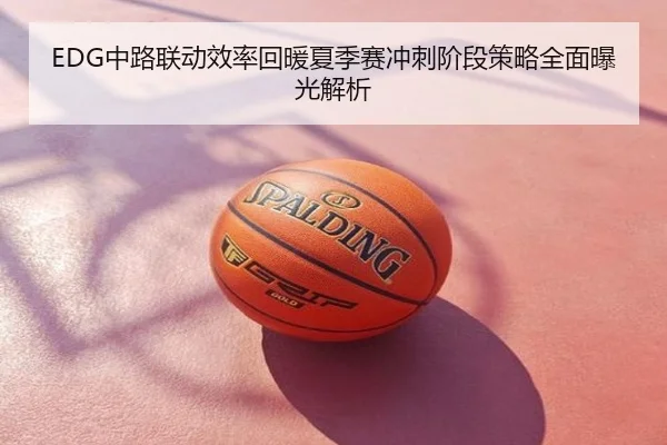 EDG中路联动效率回暖夏季赛冲刺阶段策略全面曝光解析