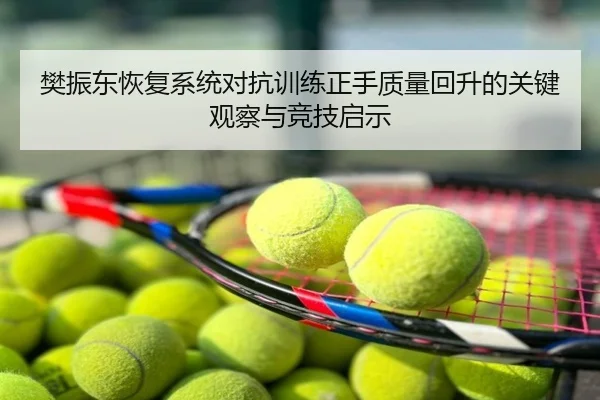 樊振东恢复系统对抗训练正手质量回升的关键观察与竞技启示